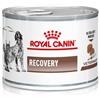 Royal Canin Recovery Mousse 195g - Cibo Umido per Cani e Gatti