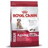 Royal Canin Medium Ageing10+ 15kg - Crocchette per Cani