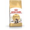 Royal Canin Maine Coon Adult 10kg - Crocchette per Gatti