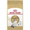 Royal Canin Ragdoll Adult 2kg - Crocchette per Gatti