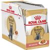 ROYAL CANIN 12x85g Royal Canin Adult British Shorthair - Umido Gatto