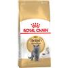 Royal Canin British Shorthair Adult 2kg - Crocchette per Gatti