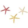 MANTOVANI Stella Marina 1pz - Decorazione per Acquario
