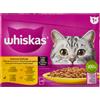 Whiskas Selezione Delicata in Salsa 12x85g