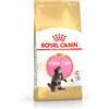 Royal Canin Maine Coon Kitten 400g - Crocchette per Gatti
