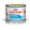 ROYAL CANIN 12x195g Royal Canin Starter Mousse - Cibo Umido per Cani