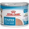 ROYAL CANIN 24x195g Royal Canin Starter Mousse Alimento Umido Cane Cucciolo