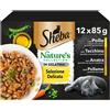 Sheba Nature's Collection In Gelatina Selezione Delicata 12 x 85 g