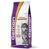 Gemon Kitten con Pollo e Riso 7kg - Gattini 1-12 Mesi