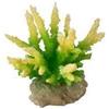 MANTOVANI Hydnopora Lime - Decorazione Corallo per Acquario