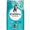 Forza10 Maintenance Maxi Adult al Pesce 12kg - Crocchette Cane