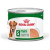 Royal Canin Mini Ageing Patè 195g - Cibo Umido per Cani