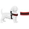 Tre Ponti Pettorina Easy Fit Sottopancia Regolabile Genesis Mesh mis.1,5 Rosso
