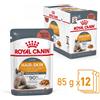 ROYAL CANIN 12x85g Royal Canin Hair&Skin Care in Salsa - Umido Gatto