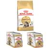 ROYAL CANIN Offerta Royal Canin Maine Coon - 4kg Crocchette + 2x12x85g Umido