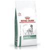 Royal Canin Diabetic 7kg - Crocchette per Cani