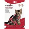 Camon Parure Pettorina e Guinzaglio per Gattini - Colori Assortiti