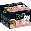 Cesar Selezione in Salsa 24x100g - Cibo Umido per Cani
