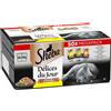 Sheba Délices du Jour in Salsa 50 x 50 g