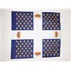AZ FLAG Bandiera Fanteria Imperio francese Guarde francesi 90x90 cm