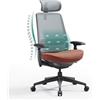 COLAMY Sedia da ufficio ergonomica, con supporto lombare, braccioli 4D e regolazione della profondità della seduta, ergonomica, vincitore del test, portata fino a 136 kg, per ufficio e ufficio, grigio