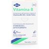 ibsa VITAMINA B IBSA 30FILM ORALI