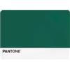 osama home PANTONE - Tovaglietta Colazione Plastificata Rettangolare Impermeabile, Tovaglia Antimacchia Piccola 45x30 Antiscivolo, Tovagliette Colazione Americane Lavabili a Mano, Accessori Cucina Salvaspazio