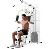 HOMCOM Stazione Fitness con Pull Down, Chest Press, Flessioni, Allungamenti delle Gambe e Vogate, Palestra Multifunzione in Acciaio con Peso di 45 kg, per Home Gym Casa, 150x110x210 cm, Bianco