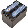 DSTE Batteria di ricambio NP-FM70 NP-QM71 NP-QM71D compatibile con Sony DCR-PC115 DCR-PC120 DCR-PC330 DCR-TRV25 DCR-TRV27 DCR-TRV30 DCR-TRV33 DCR-TRV38 DCR-TRV39 DCR-TRV50