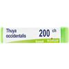 Boiron srl BOIRON® Thuya Occidentalis 200ch Monodose