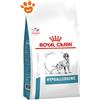 Royal Canin Dog Veterinary Diet Hypoallergenic - Sacco Da 14 Kg