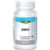 ERBA VITA GROUP SpA zinco 60 capsule