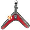 Ferribiella Pettorina Coco Rosso - M (45-48x2cm)