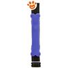 Ferribiella Fun Alert - Led per Collare (2,5x15 cm) - Blu