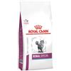 Veterinary health nutrition cat renal special 400 g