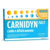 Alfasigma Carnidyn Fast caldo e affaticamento integratore salino, vitaminico e di carnitina 12 buste