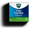 PROCTER & GAMBLE SRL Vicks vaporub*ung inal 50g - VICKS - 021625064