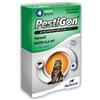 SLAIS Srl Pestigon Antiparassitario per Gatti - Pipette Spot-On Antipulci e Zecche - Rapida Azione e Protezione Duratura - Facile Applicazione - Adatto a Tutte Le Razze