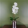 Botanik Piante di orchidee artificiali realistiche, completamente in vaso