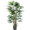 Botanik Palma artificiale realistica in vaso e alberi tropicali - pronti per essere esposti