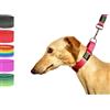 Bub's Collare Martingale - Collare per Cane di Taglia Media/Piccola. Progettato per Tutti i Tipi di Razze di Cani e in Particolare per i Levrieri (Controllo Taglia: Collo 22 a 35). (Rosa)
