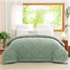 WAVVE Piumino Letto Matrimoniale 4 Stagioni 220x240 - Piumone Autunnale Invernale 220 x 240 cm - Coperta Trapunta 240x220 di Microfibra Sintetico, Verde