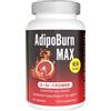 Slimjoy Morosil, Tè Verde, Pepe di Cayenna, Piperina - Naturale Termogenico, Pancia, Metabolismo - Alto Dosaggio - 90 Capsule per 90 Giorni - E-book Gratis - AdipoBurn XXL Slimmium Sensilab