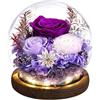 Emibele Regalo Rosa Eterna per la Festa della Mamma, Rosa Reale Conservata in Cupola di Vetro con LED, Fiori per Consegna, Regalo per Donna, Moglie, Compleanno, Anniversario, Viola