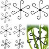 Adiwo 8 pezzi porta steli in plastica, porta piante clip per supporto piante, supporto per piante perenni per piante monstera, fiori, ortensie, rose, pomodori (Nero-8PZ)