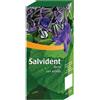 AURORA Srl (Omeopatici) SALVIDENT Spray 30ml