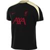 Nike FC Liverpool Strike Special Edition Dri-Fit Maglia da Calcio a Maniche Corte in Maglia (Uomo), Nero/Coconut Milk/Gym Red, HJ3388-013, 2XL