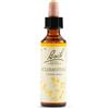 Schwabe Pharma Italia Srl Fiori di Bach N. 28 Scleranthus flacone da 20ml