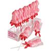 Spencer & Fleetwood Succulent Willie Lollipop 35g Display 24 pcs
