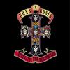 UNIVERSAL MUSIC GROUP Appetite For Destruction (30°Th Anniversary Remastered)